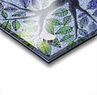 Alive and Happy Acrylic print