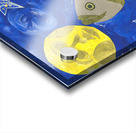 Moonfish Acrylic print