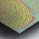 Botanic 24-22 Metal print