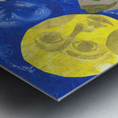 Moonfish Metal print