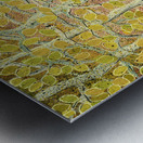 Quaking Aspens Metal print